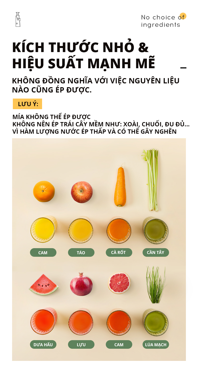 Máy ép chậm SnapBee - Máy ép SnapBee SK – 202VN - Máy ép trái cây SnapBee 12 Máy ép SnapBee – Máy ép chậm SnapBee 12 (2)