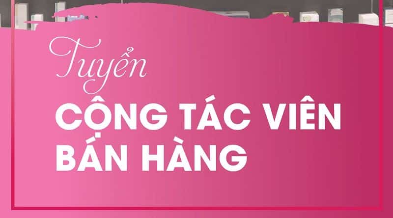 Chính sách Cộng Tác Viên SnapBee 1 cộng tác viên snapbee