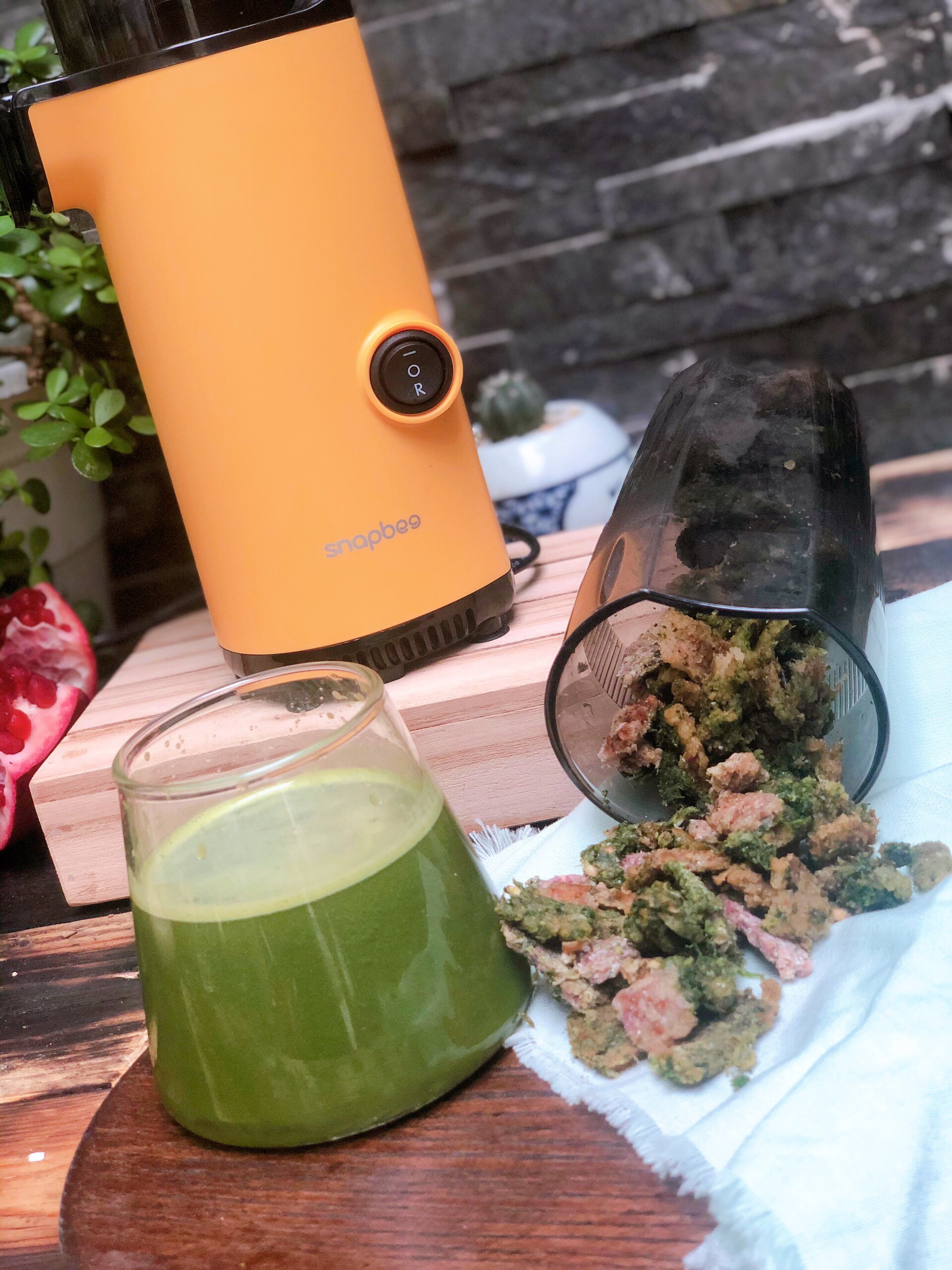 Máy ép chậm SnapBee - Máy ép SnapBee SK – 202VN - Máy ép trái cây SnapBee 26 z2273426099233 2de51009769072d37422db4560746ab2-snapbee