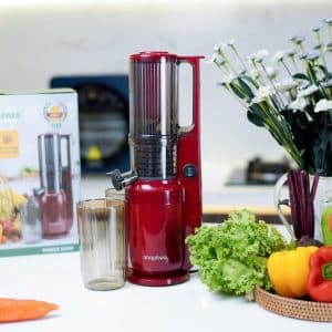 máy ép chậm snapbee SK-202US